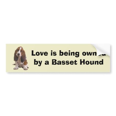 Basset Hound Bumper Sticker by normagolden