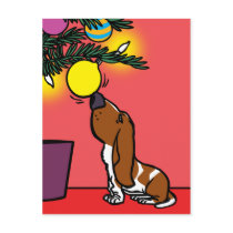 BASSET HOUND CURIOSITY POSTCARD