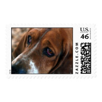 Basset Hound Design Postage Stamp
