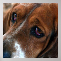 Basset Hound Design Poster