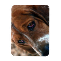 Basset Hound Design Premium Magnet