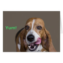 Basset Hound Dog Birthday Card