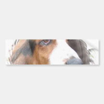Basset Hound Dog Bumper Sticker