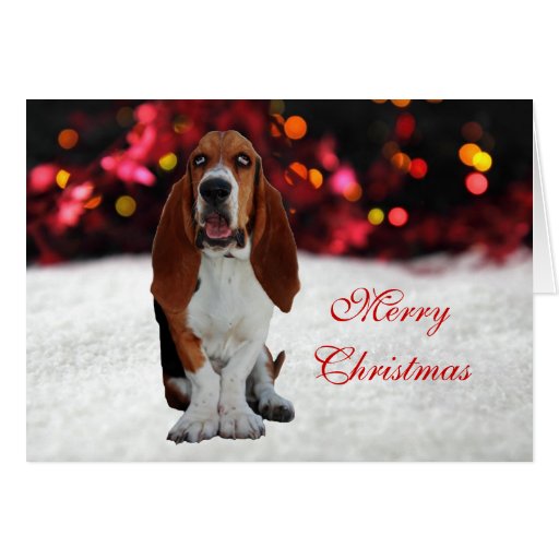 Basset Hound Dog Photo Custom Christmas Card 