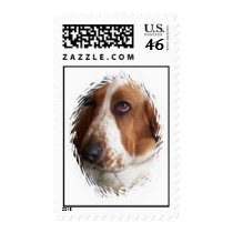Basset Hound Dog Postal Stamp