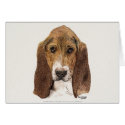 Basset Hound Dog, Watercolor card