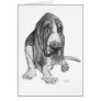 Basset Hound Drawing Greeting Card