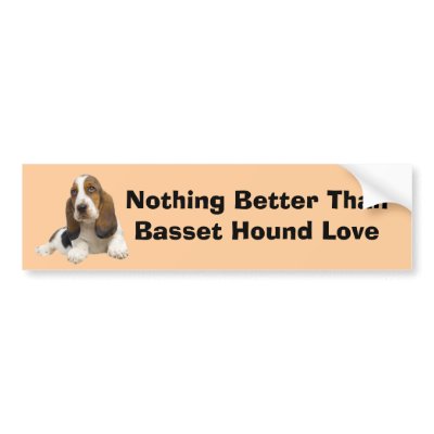 Basset Hound Fabulous Face Bumper Sticker by normagolden