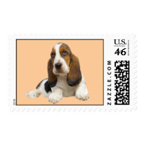 Basset Hound Fabulous Face Postage Stamp