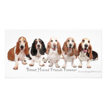 Basset Hound Friends Forever Personalized Photo Card