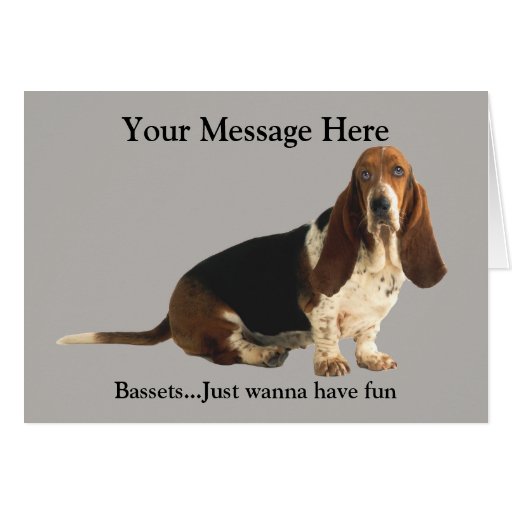 Basset Hound Fun Loving Greeting Card Zazzle