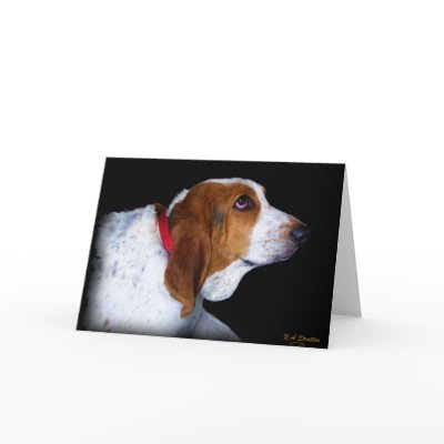 Basset Hound Greeting card by 777Images