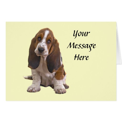 Basset Hound Greeting Card Zazzle