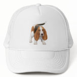Basset Hound Hat