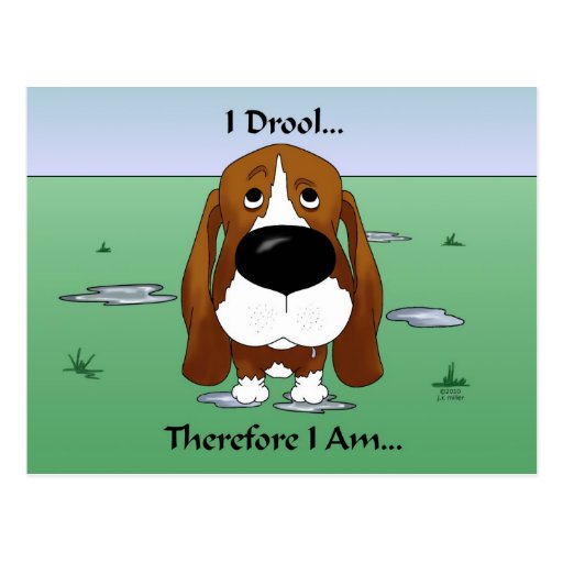 Basset Hound I Drool...Therefore I Am.. Postcard Zazzle