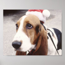 Basset Hound in Santa Hat Posters