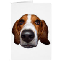 Basset Hound In your face Greeting Cards