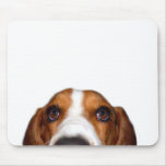 Basset Hound In your face Mouse Pads
