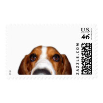 Basset Hound In your face Postage