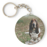 Basset Hound Key Chains