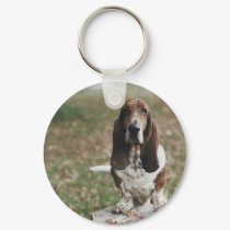 Basset Hound keychains