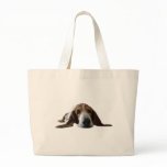 Basset Hound lying down bags