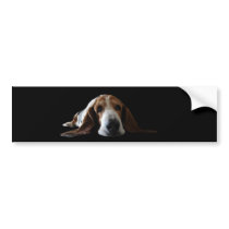 Basset Hound lying down bumper stickers