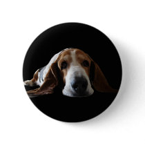 Basset Hound lying down buttons