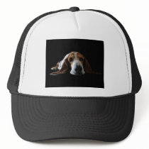 Basset Hound lying down Hats