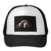 Basset Hound lying down Hats