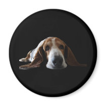 Basset Hound lying down magnets