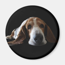 Basset Hound lying down Magnet