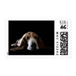 Basset Hound lying down Stamp