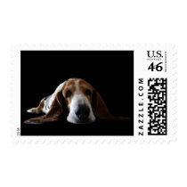 Basset Hound lying down Stamp