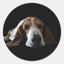 Basset Hound lying down Round Sticker