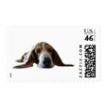 Basset Hound lying down Stamps