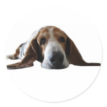 Basset Hound lying down Round Sticker