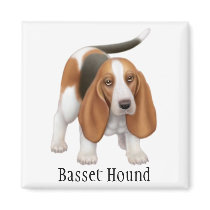 Basset Hound Magnet