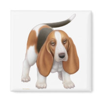 Basset Hound Magnet