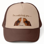 Basset Hound peeking in Hat