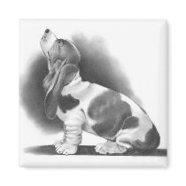BASSET HOUND: PENCIL REALISM ART REFRIGERATOR MAGNET