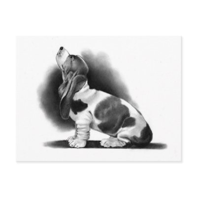 BASSET HOUND: PENCIL REALISM: PUPPY POST CARDS by joyart