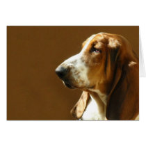Basset Hound Photo Card