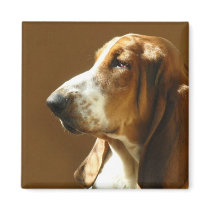 Basset Hound Photo Magnet