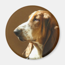 Basset Hound Photo Magnet