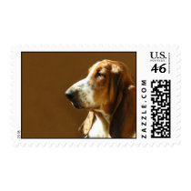 Basset Hound Photo Postage Stamp