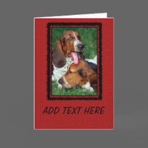 Basset Hound Photograph