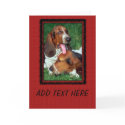 Basset Hound Photograph card