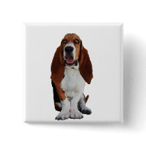 Basset Hound Picture Square Pin