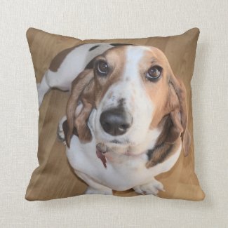 Basset hound pillow